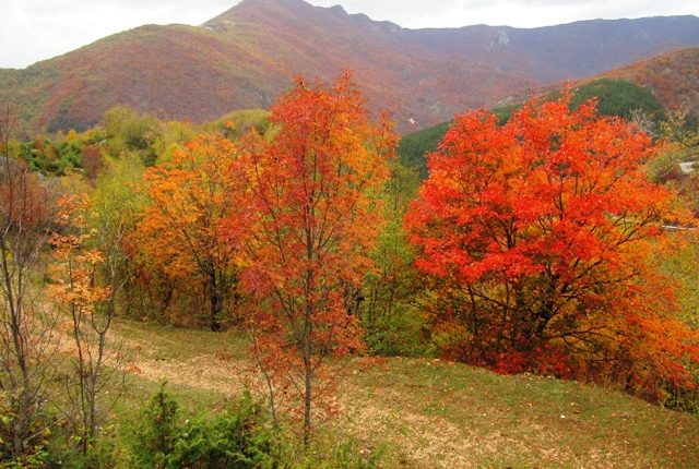 Autunno Dincanto Nel Parco Dei Monti Simbruini Con Il Foliage