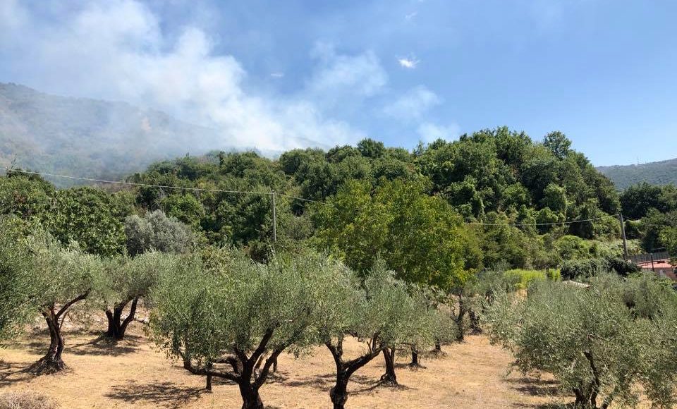 incendio a poli