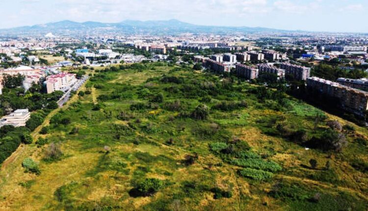 Il Pratone di Torre Spaccata non è un vuoto: per una città senza più ...