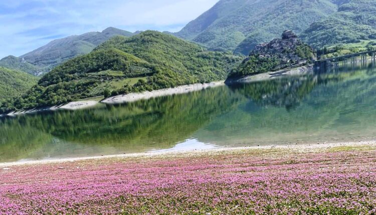 Colori di primavera sul lago Turano: la spiaggeta di Colle di Tora ...